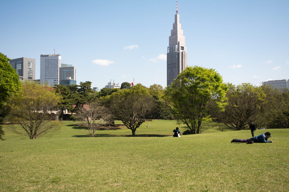 Imaginomades-Japon-Tokyo-temple-shinto-Meiji-jingu-parc-4