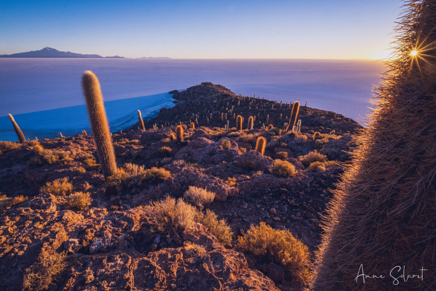 Imaginomades-Bolivie-salar-Uyuni-Isla-Incahuasi-cactus-lever-de-soleil-signature-1
