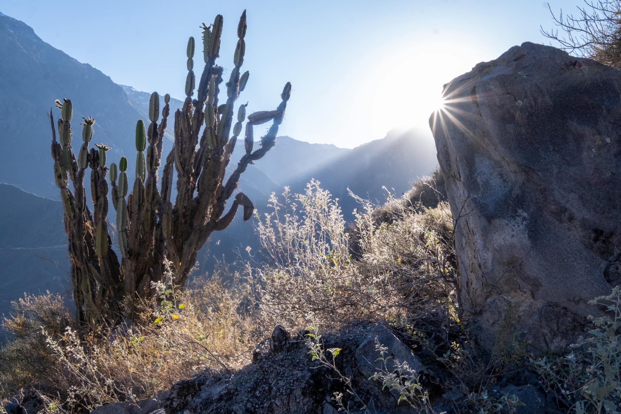 Module 1 : La photo de paysage