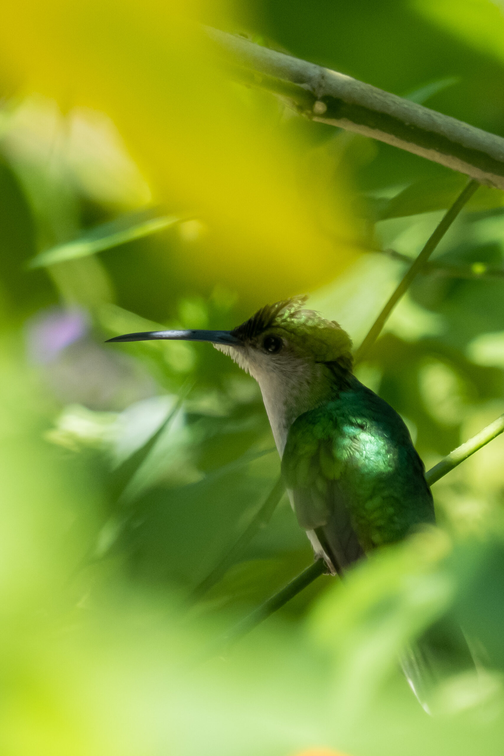 Module 2 : Les enjeux de la mise au point