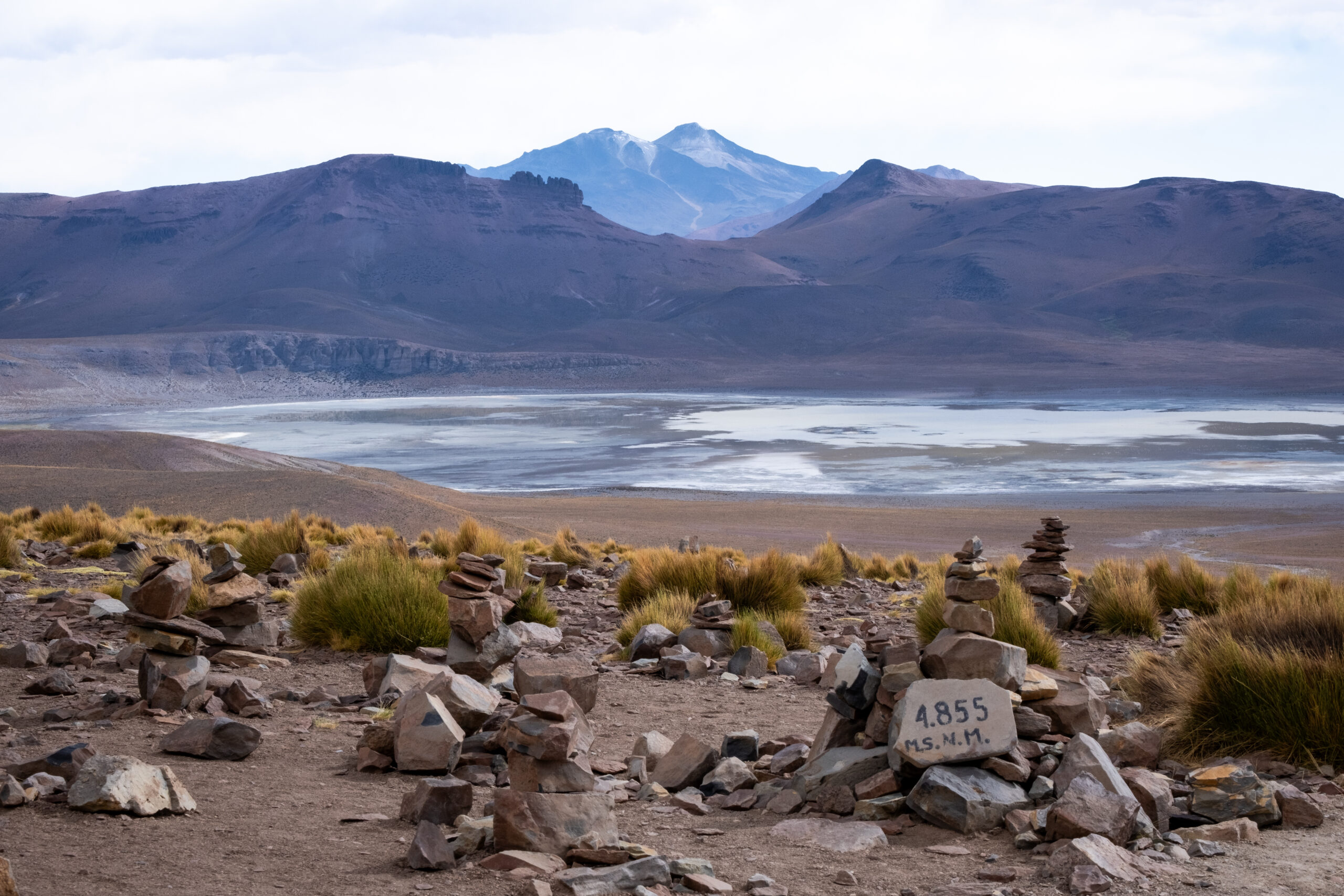 Imaginomades-Bolivie-sud-Lipez-Laguna-Morejon
