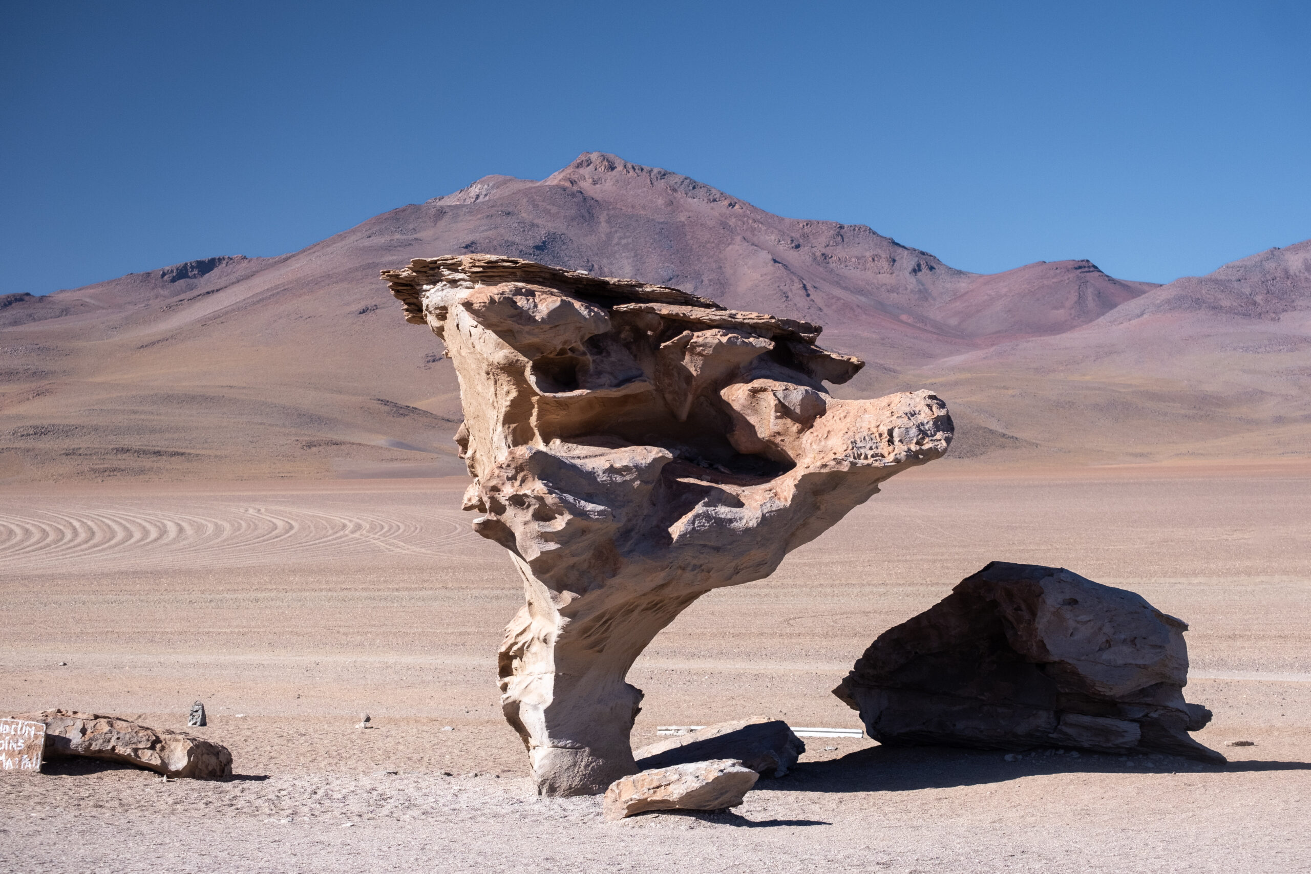 Imaginomades-Bolivie-sud-Lipez-arbol-de-piedra