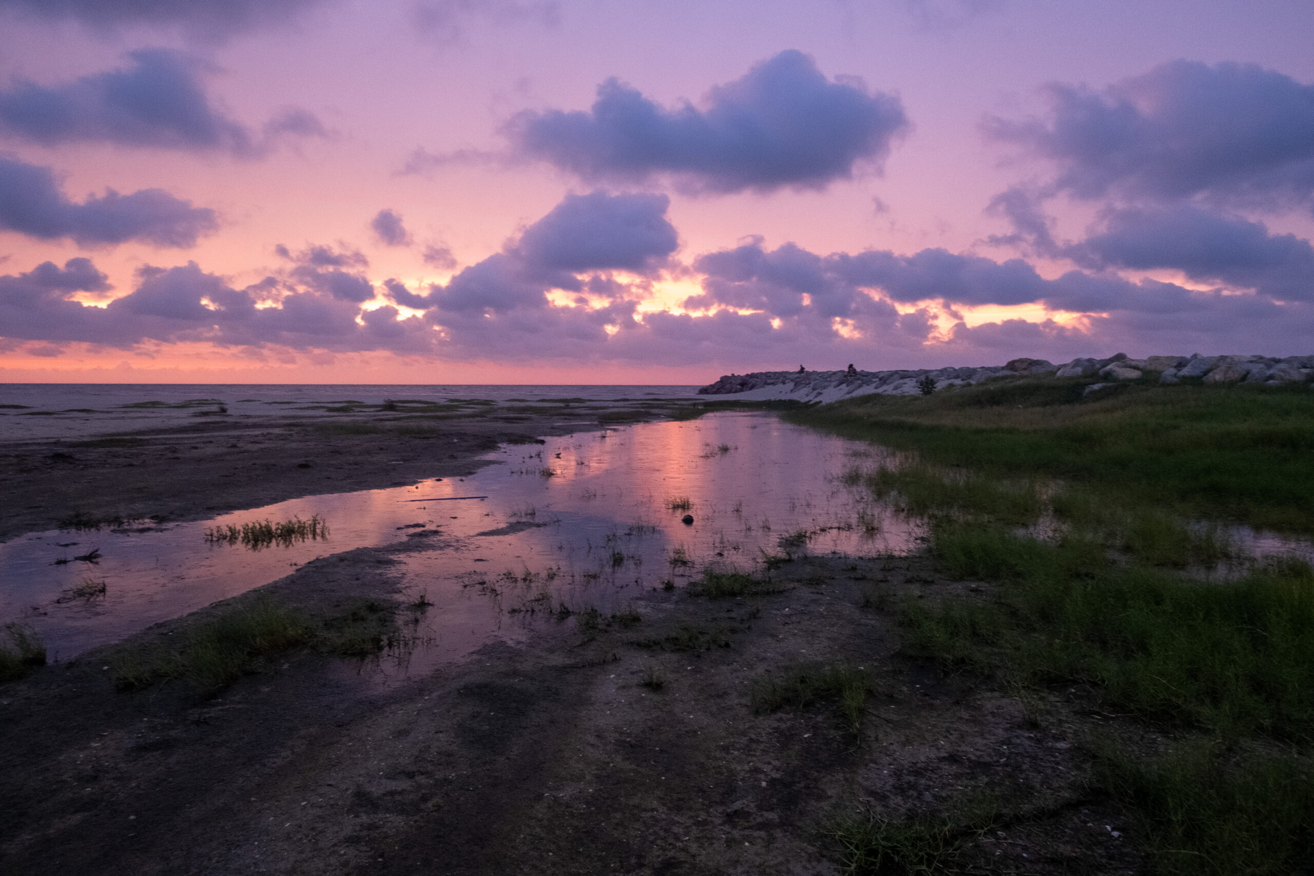 Imaginomades-Colombie-Riohacha